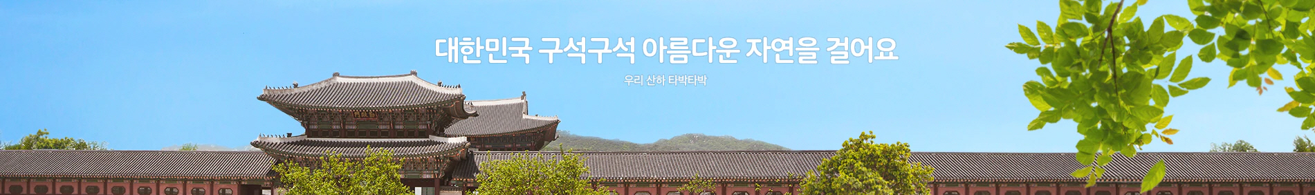 배너